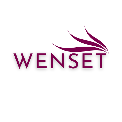 wensettradex.com