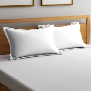 Gylo Cozy Ultra Soft Micro Gel Pillow - Set Of Two 100% Cotton